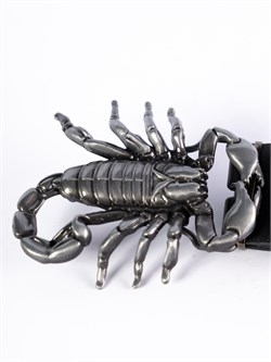 Ремень Holyrus Скорпион rem192